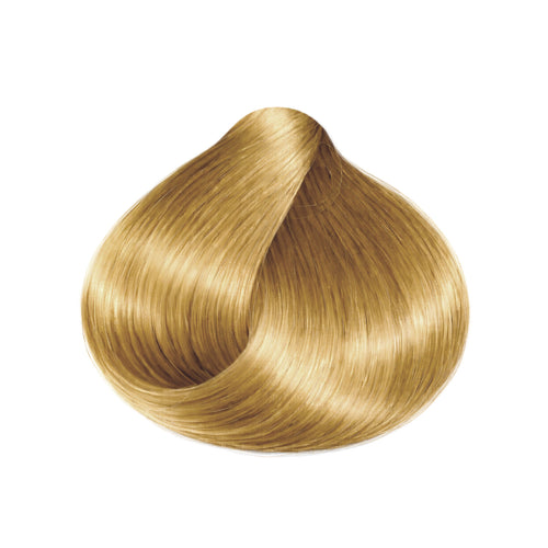 Tinte Color 7.7 Rubio Dorado - Shaylet