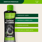 Shampoo Caballo Carbon - Shanatural's