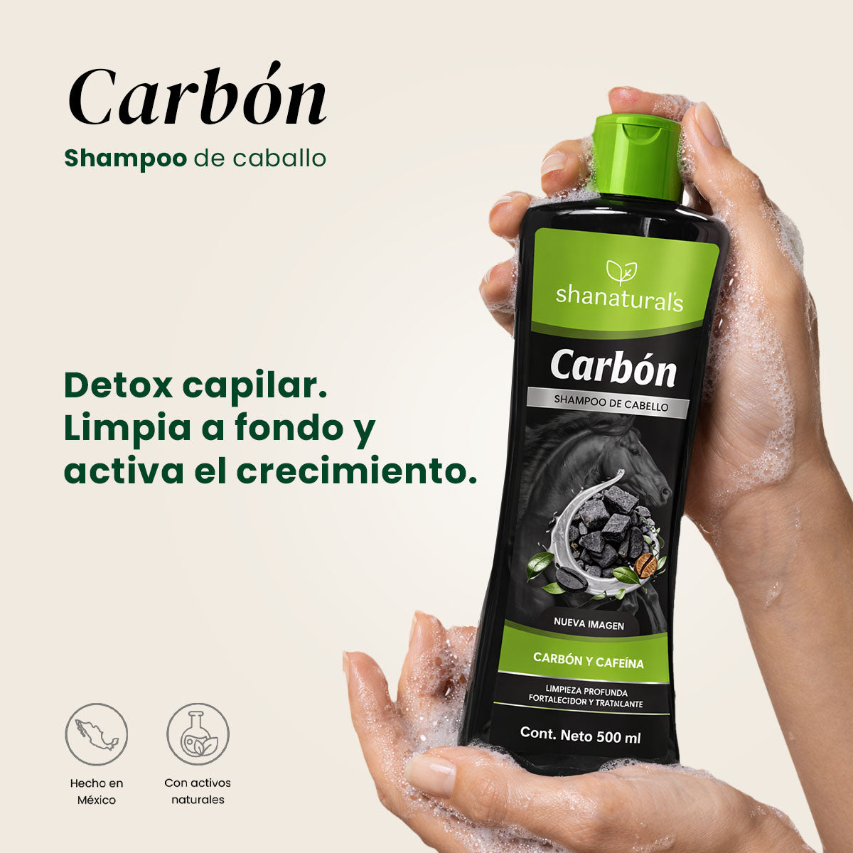 Shampoo Caballo Carbon - Shanatural's