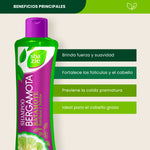 Shampoo Bergamota y Bardaba - Shazie