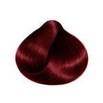 Tinte Color 5.0 Borgoña - Shaylet