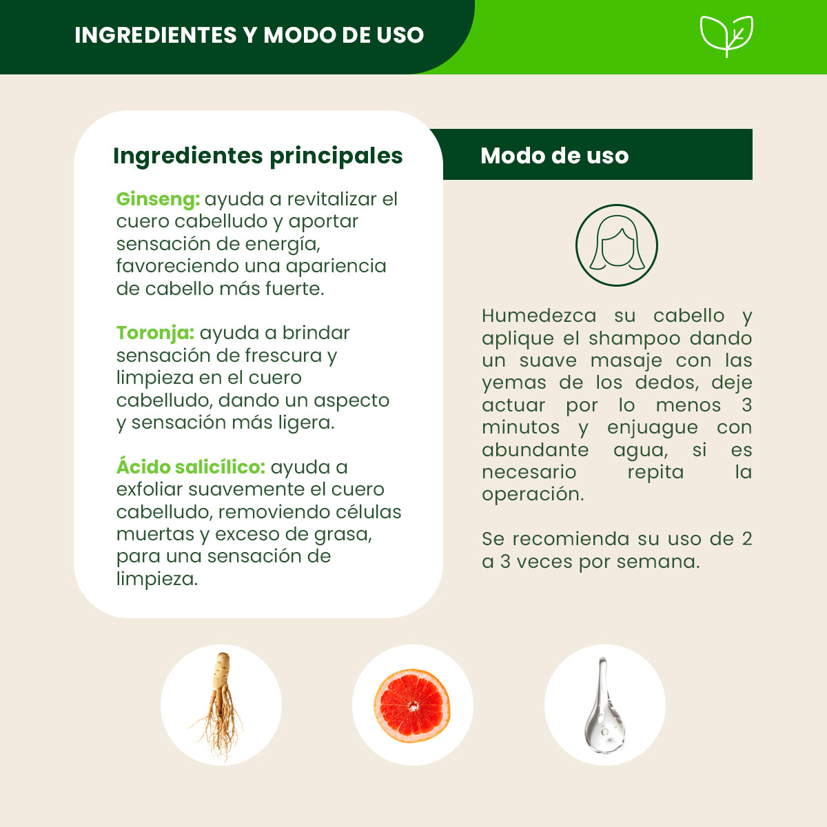 Shampoo Detox - Sehre