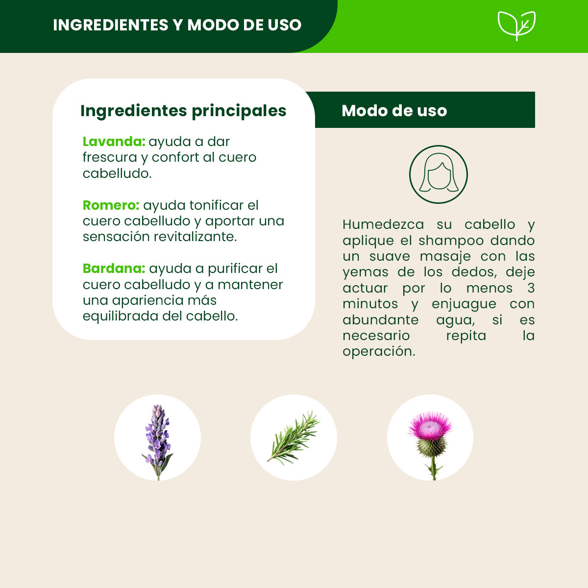 Shampoo Herbal - Sehre