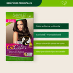 Tinte Color 3.1 Castaño Medio - Shaylet