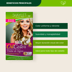 Tinte Color 7.7 Rubio Dorado - Shaylet