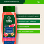 Shampoo Detox - Sehre