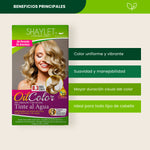 Tinte Color 8.3 Rubio Cenizo - Shaylet