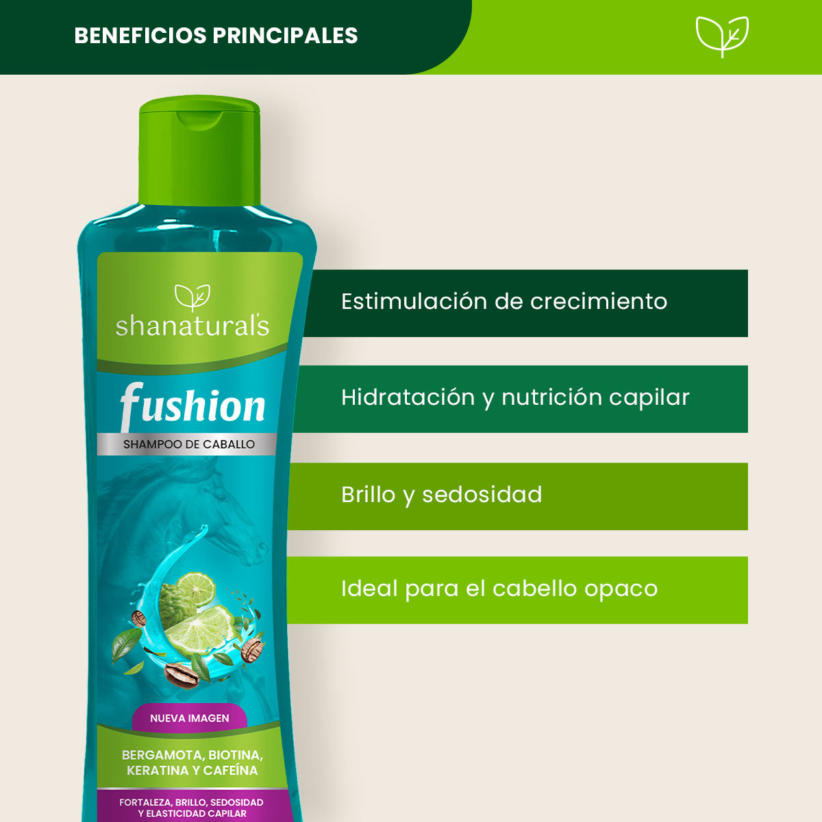 Shampoo Caballo Fushion Bergamota - Shanatural's