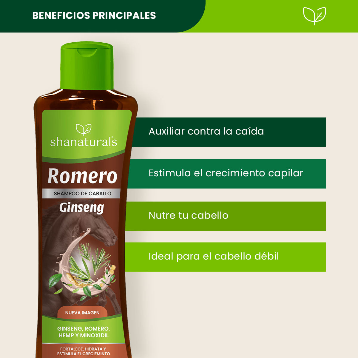 Shampoo Caballo Romero Ginseng - Shanatural's