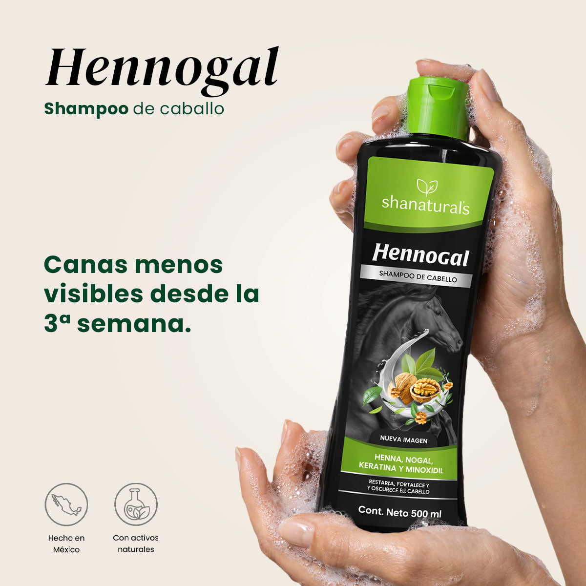Shampoo Caballo Hennogal - Shanatural's