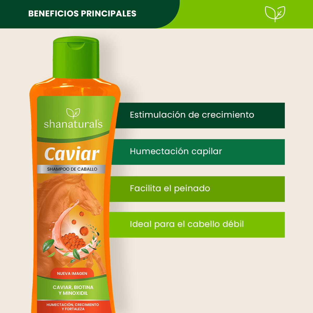 Shampoo Caballo Caviar - Shanatural's