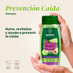Shampoo Prevención Caida - Sehre