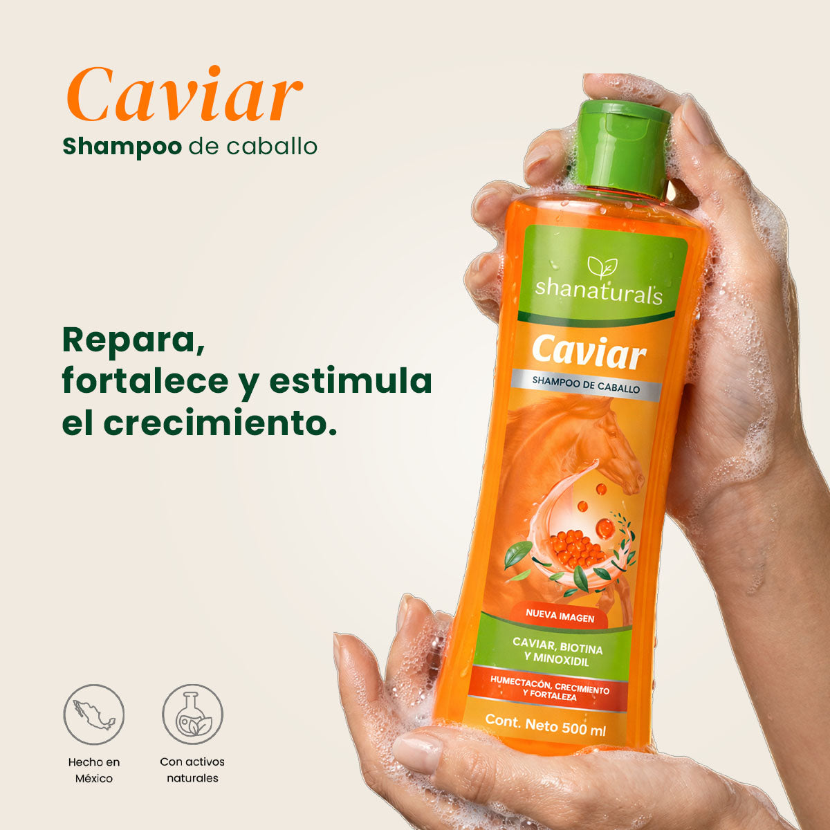 Shampoo Caballo Caviar - Shanatural's