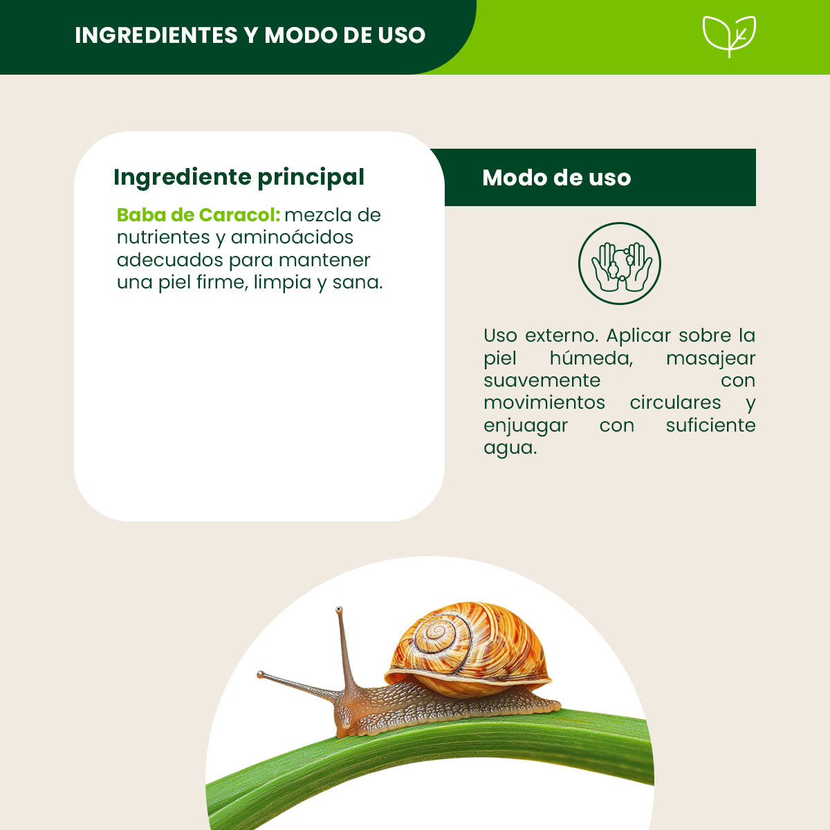 Jabón Baba de Caracol - Shanatural's